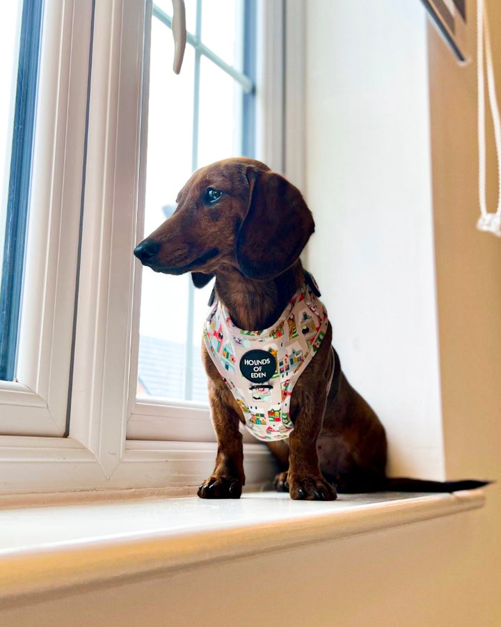 Arnés para perros con diseño de perrito en la ventana 