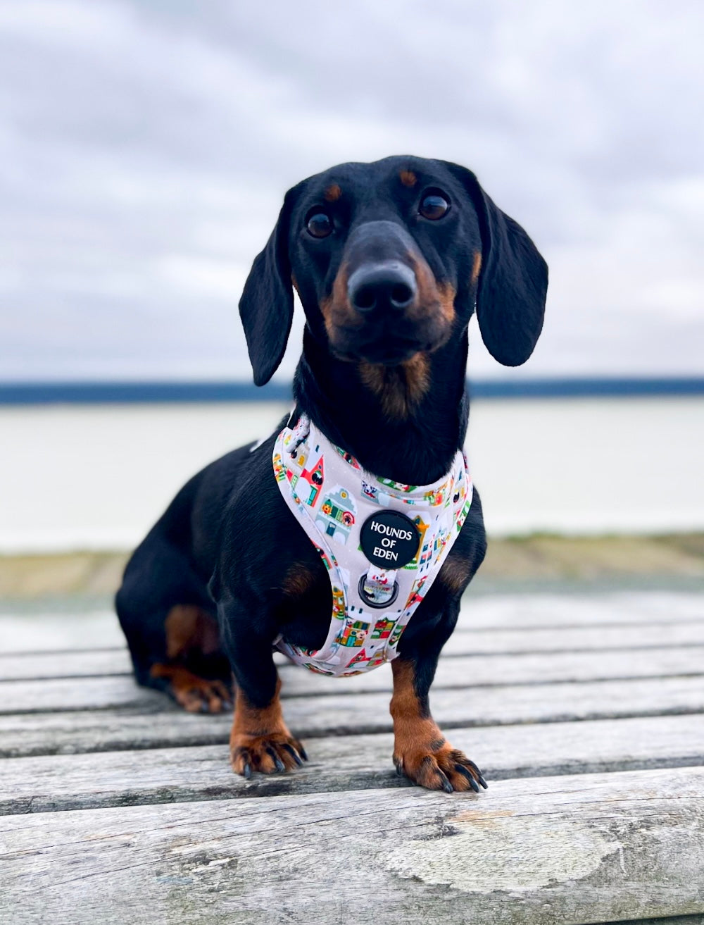 Arnés para perros con diseño de perrito en la ventana 