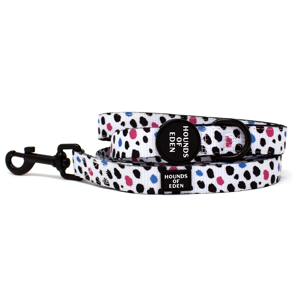 'Spot the Dog' - Pink, Blue & Black Spotted Dog Collar