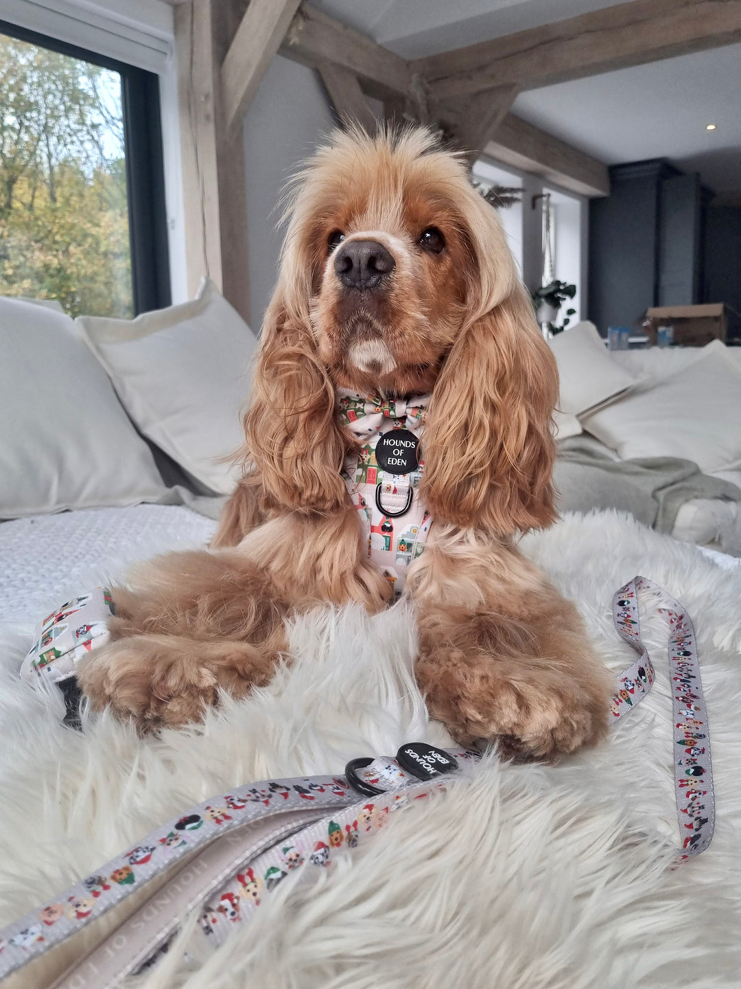 Arnés para perros con diseño de perrito en la ventana 