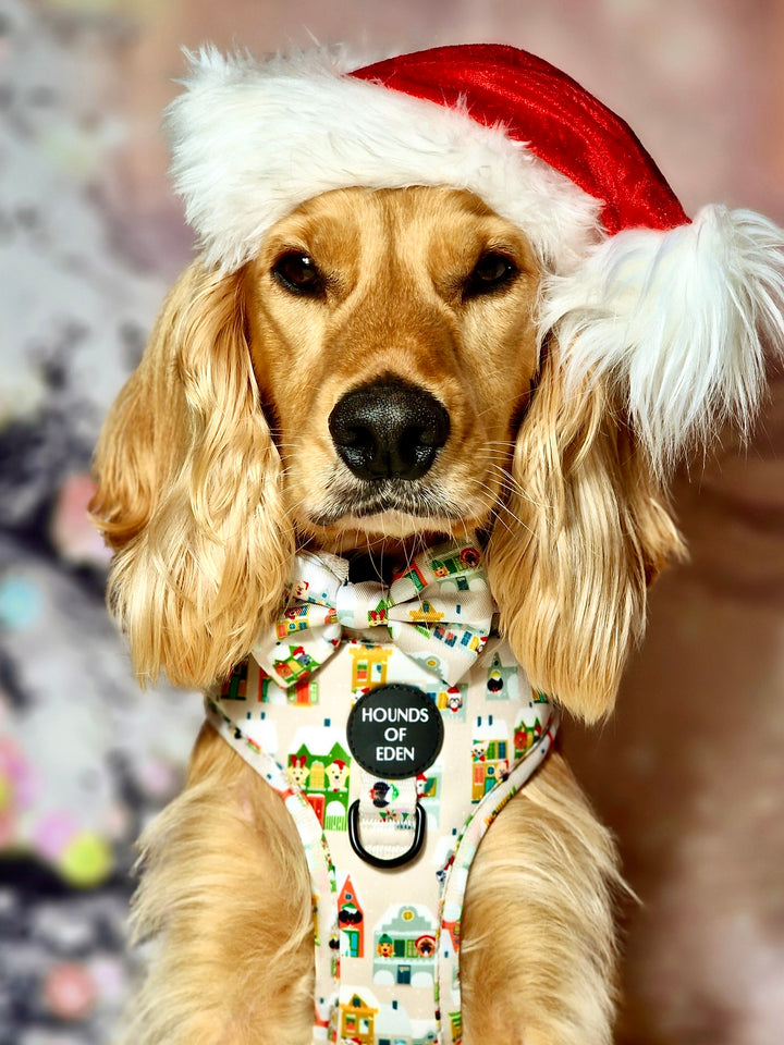 Collar para perro con diseño de perrito en la ventana